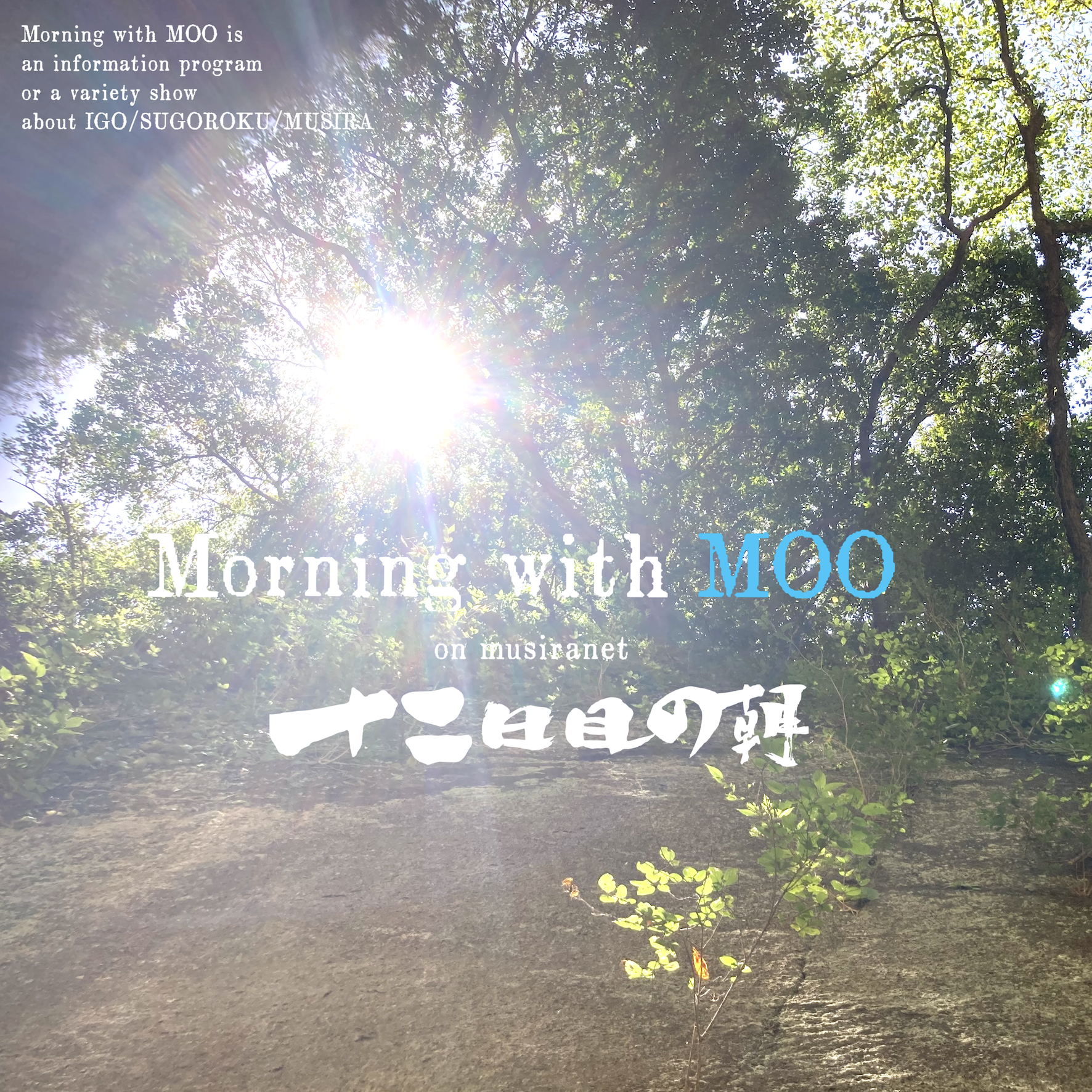 Morning with MOO pt12